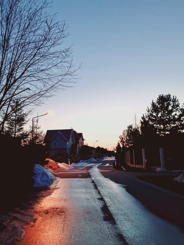Residential neighborhood observed during spring twilight with melting snow