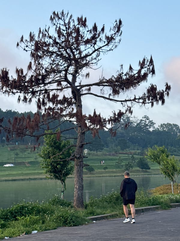 Evening walk around Xuân Hương Lake, Đà Lạt