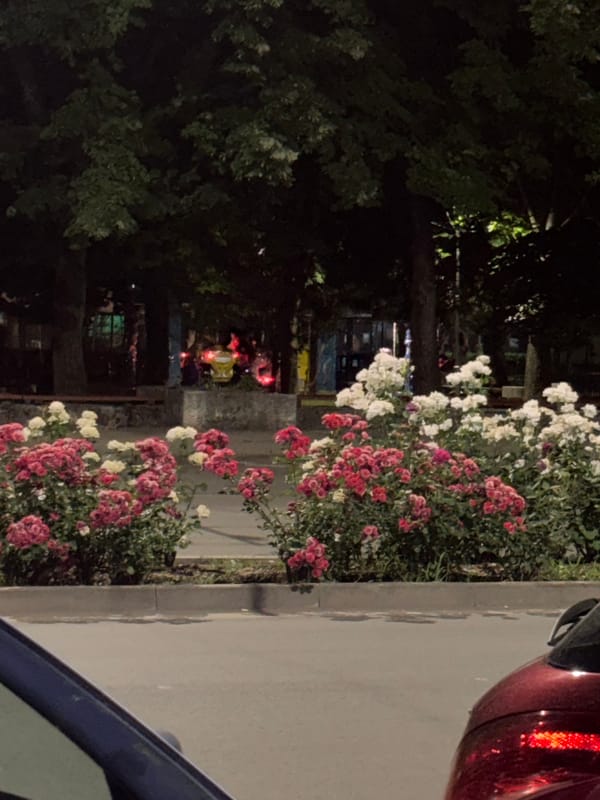 Evening domestic life documented in Stara Zagora, Bulgaria