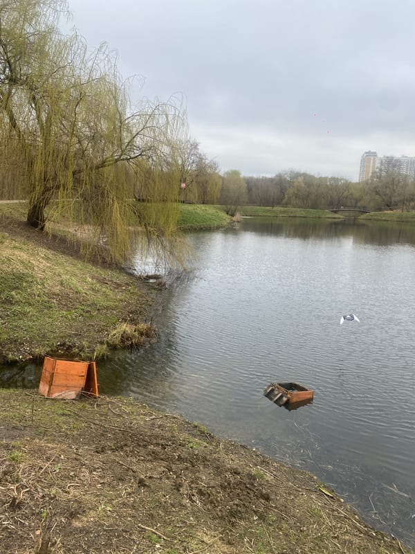 Dog spotted near lake in Moscow park Saturday morning