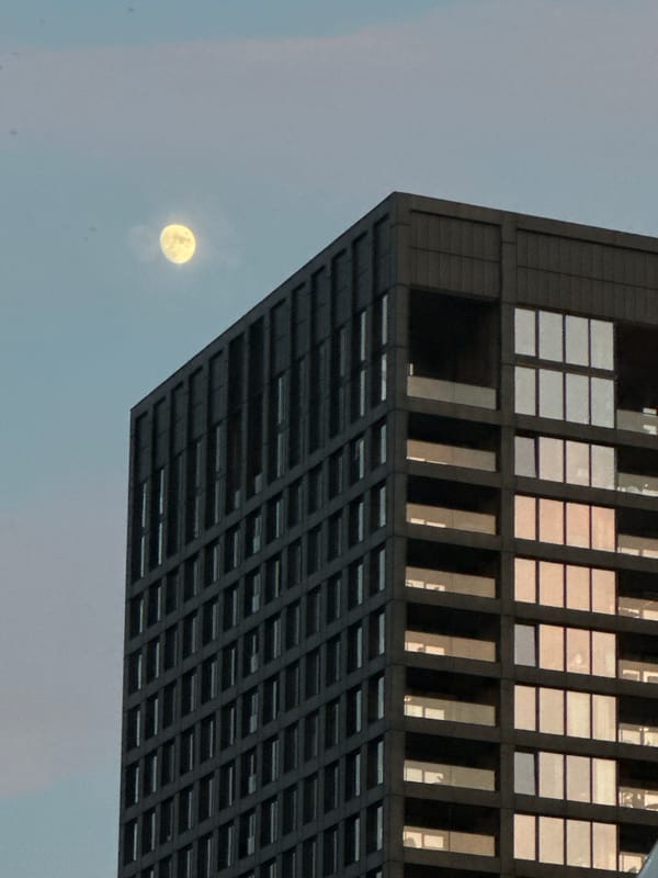Amsterdam resident documents evening of ordinary urban moments