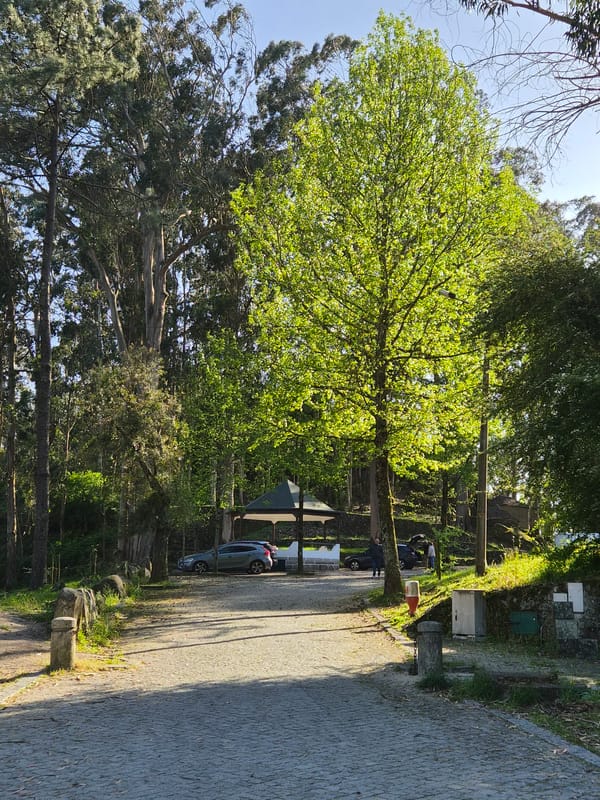 Quiet afternoon scenes captured in Esposende, Portugal