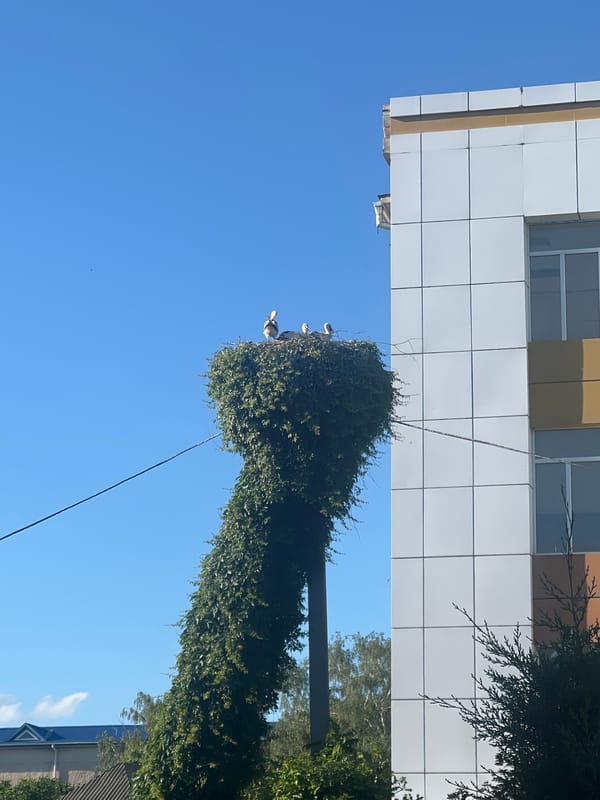 Wildlife statues and stork nests in Dubăsari park