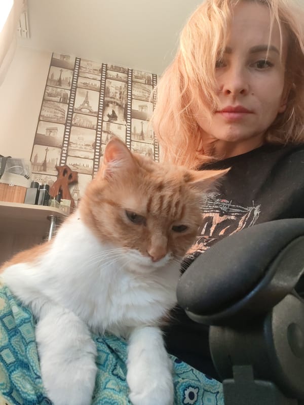 Cats and quiet time at a Chaikovsky home