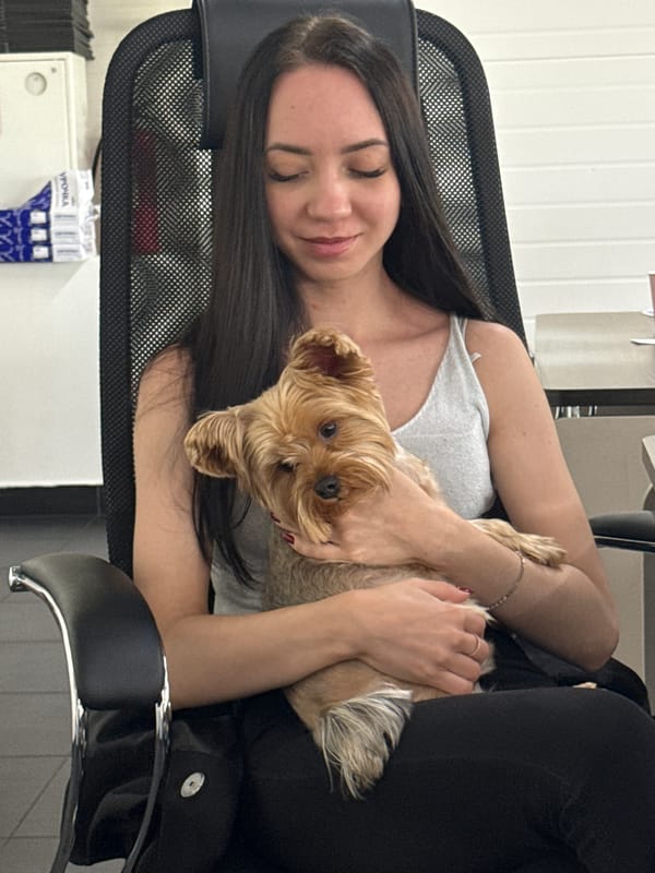 Hanging out in an office chair with a small Yorkshire Terrier