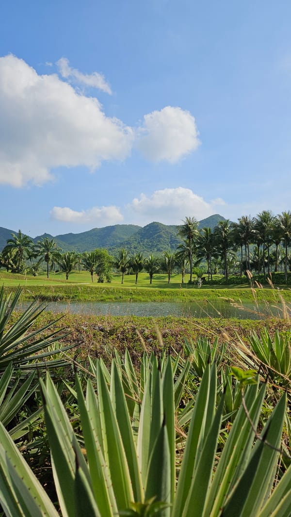 Tropical landscape views documented in Nam Nha Trang, Vietnam