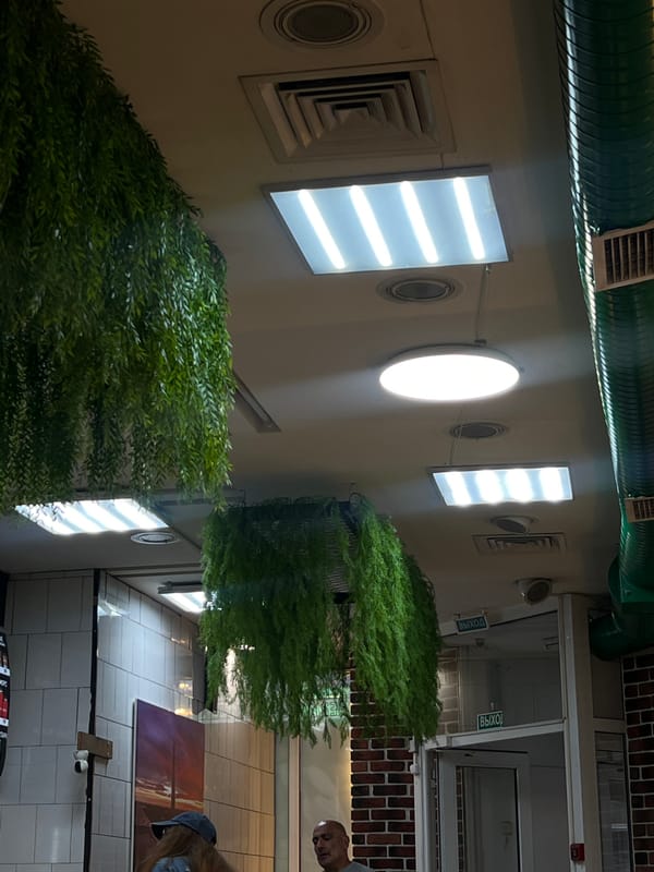Evening life documented across Saint Petersburg cafes and streets