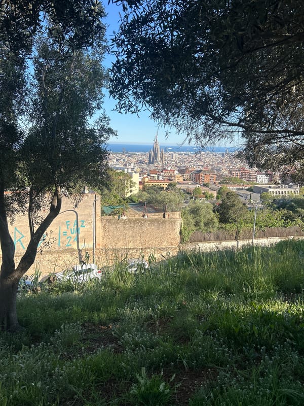 Afternoon walk through Barcelona's elevated parks captures city panoramas