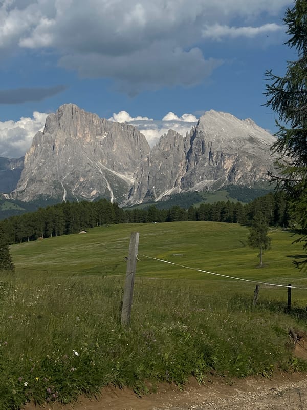 Afternoon hiking through alpine meadows and rustic mountain cabins