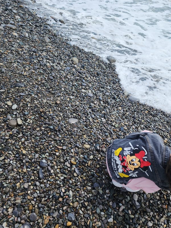 Pleasant morning at Sochi's pebble beaches draws beachgoers