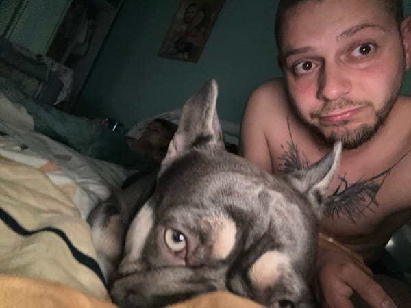 Evening domestic life documented: man, French bulldog, home scenes