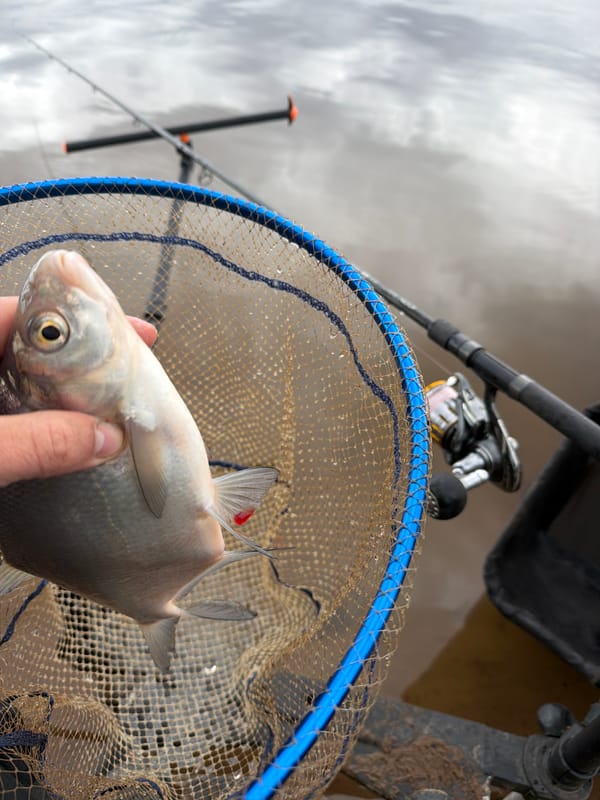 Early morning fishing trip yields multiple catches in Chaykovsky