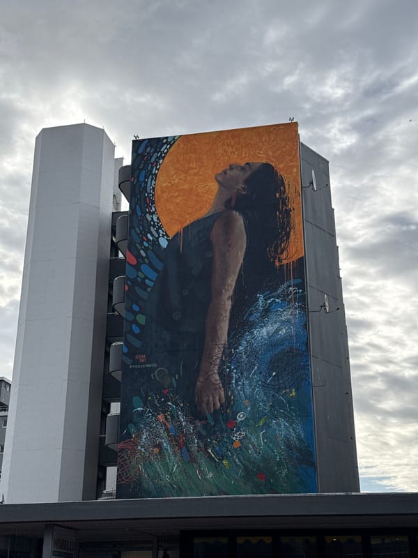 Cape Town street art and plant displays documented