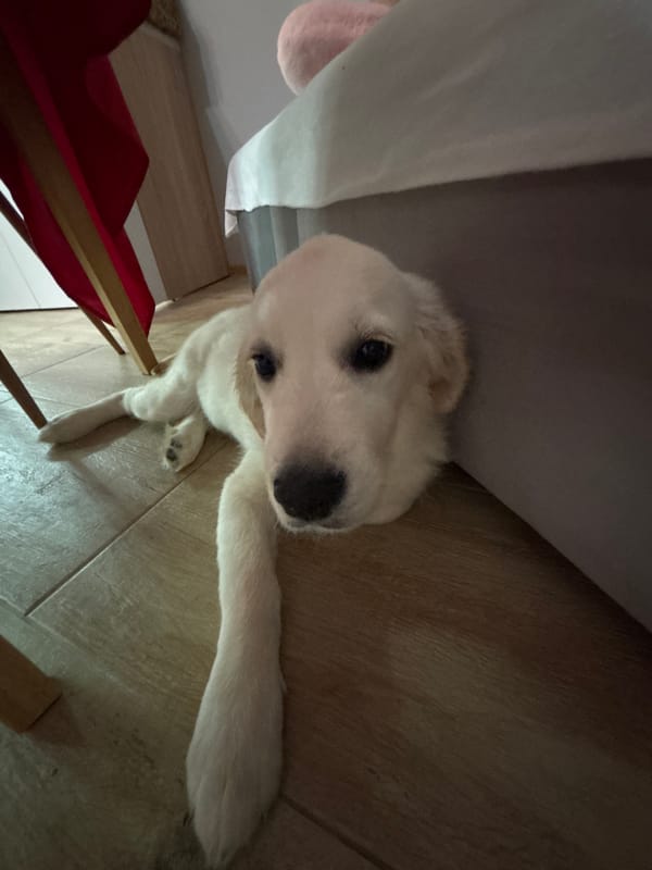 Casual home moments captured across Burgas during evening hours