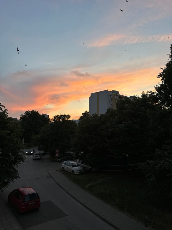 Dusk sunset observed in residential area with parked vehicle