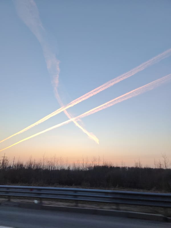 Roadside scene documented in Zanevka, Russia