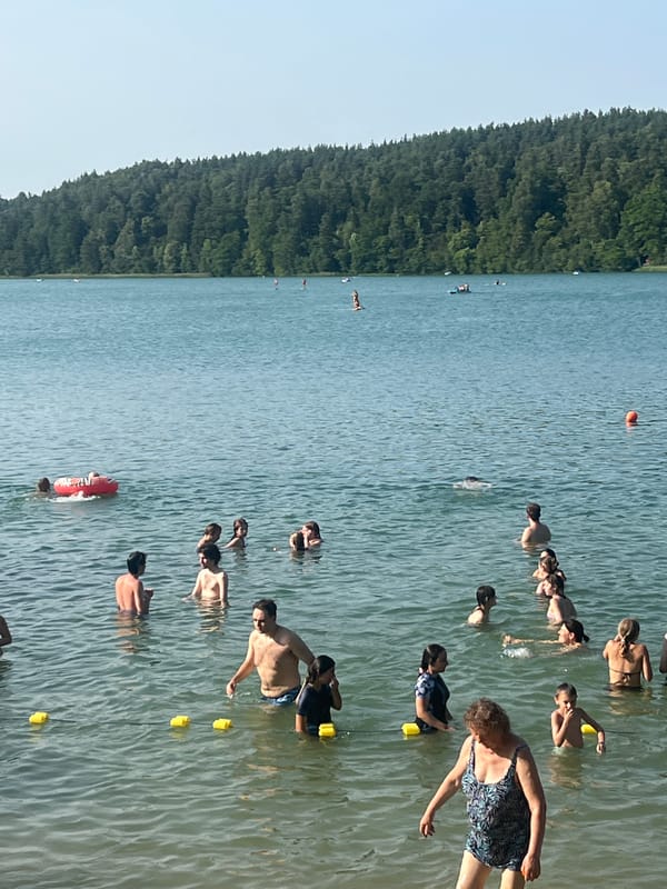 Summer swimming and forest trails at a Vilnius lakeside
