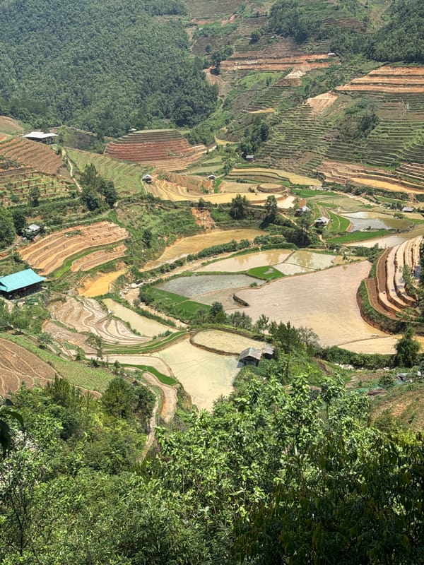 Travelers document breakfast amid Vietnam's terraced rice landscapes