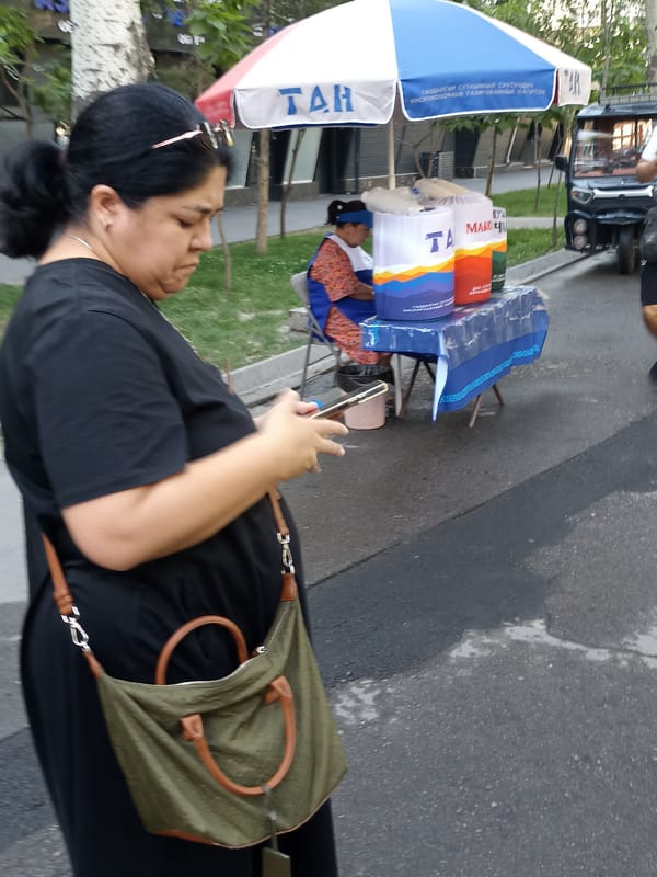 Everyday street life on a Bishkek sidewalk