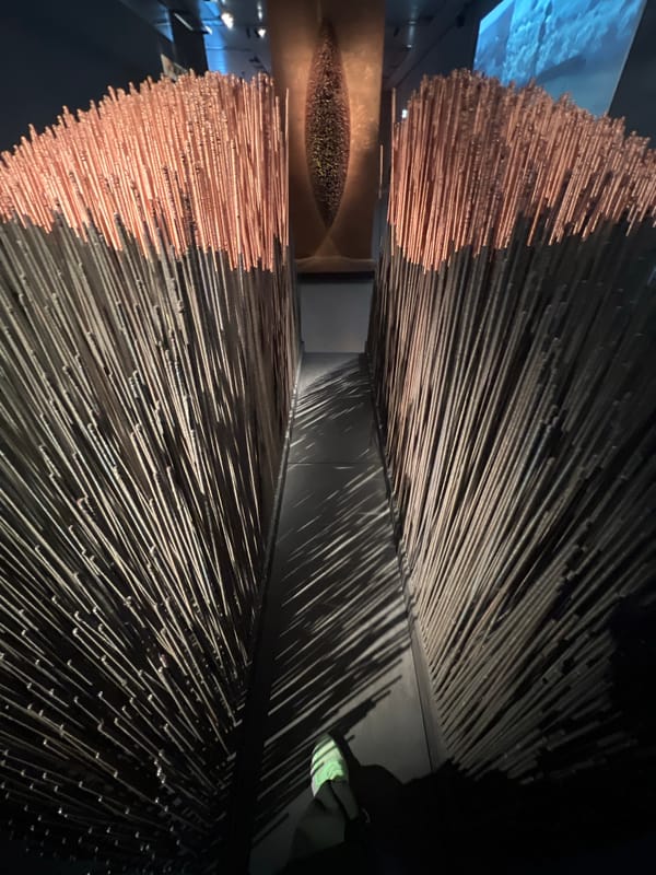 Visitor documents contemporary art installations in Moscow museums