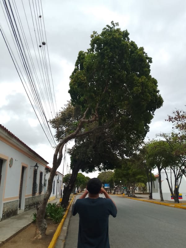 Quiet street scenes documented across Venezuelan towns Sunday afternoon