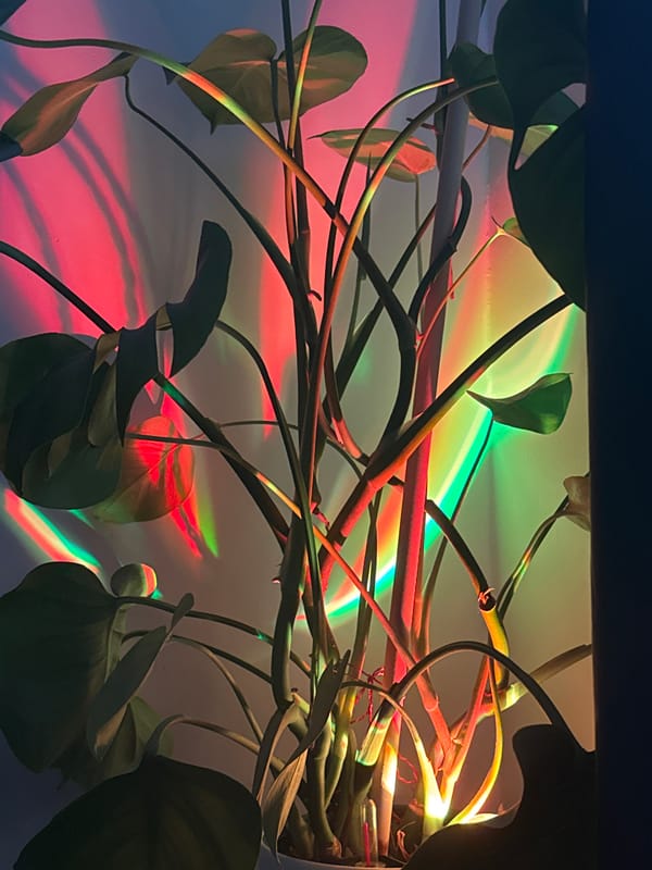 Colorful light and quirky objects fill a Moscow interior