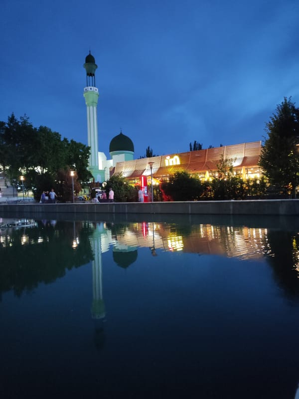 Almaty at dusk: a lit-up pond, a dog, and the neighborhood around it