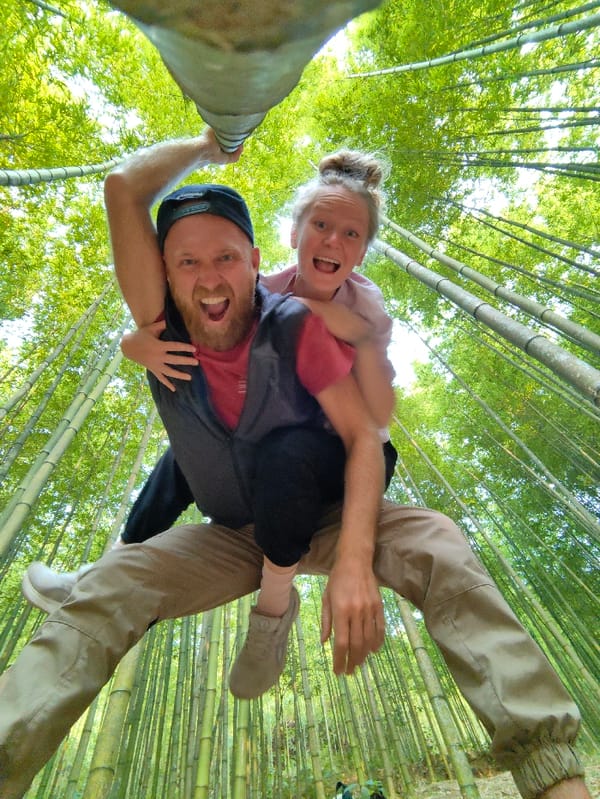 Tourists explore bamboo forest playground in Mù Cang Chải