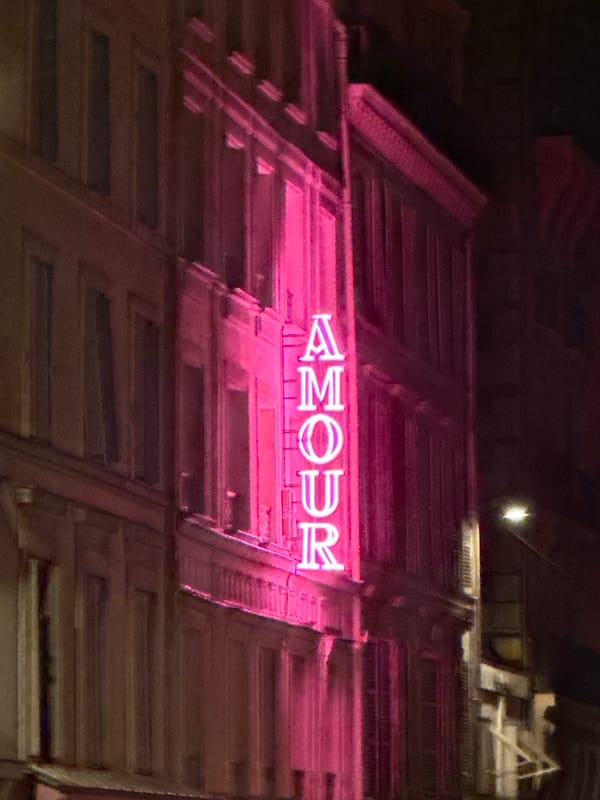 Evening stroll on wet Paris streets near neon-lit building