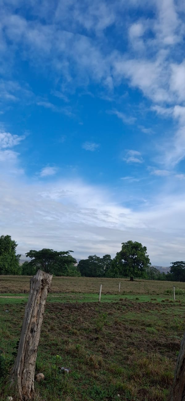 Rural Venezuelan countryside documented in 8-minute observation session