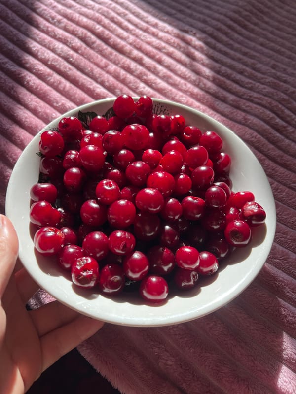 Summer produce laid out on a sunny pink blanket in Russia