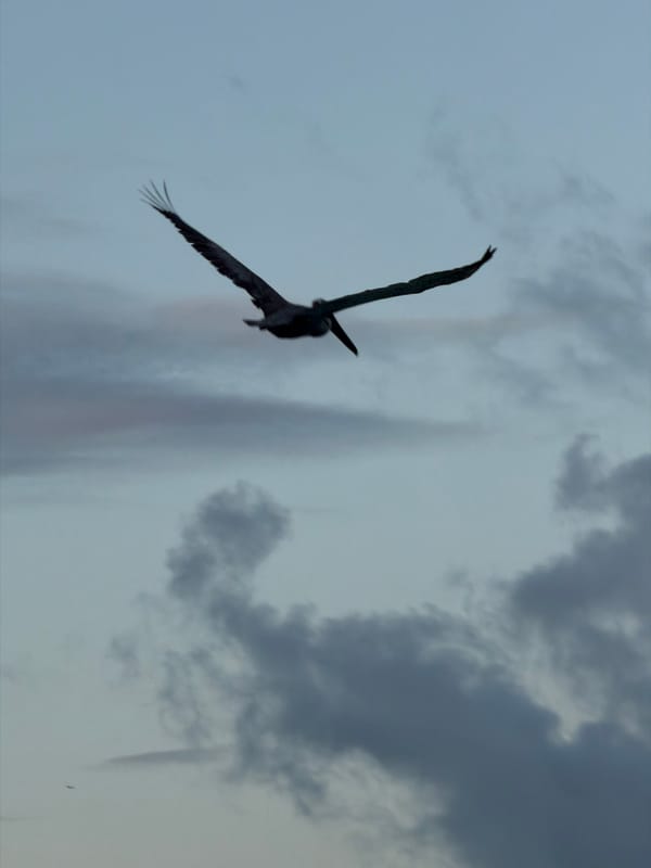 Evening beach activities captured in Cancún, Mexico
