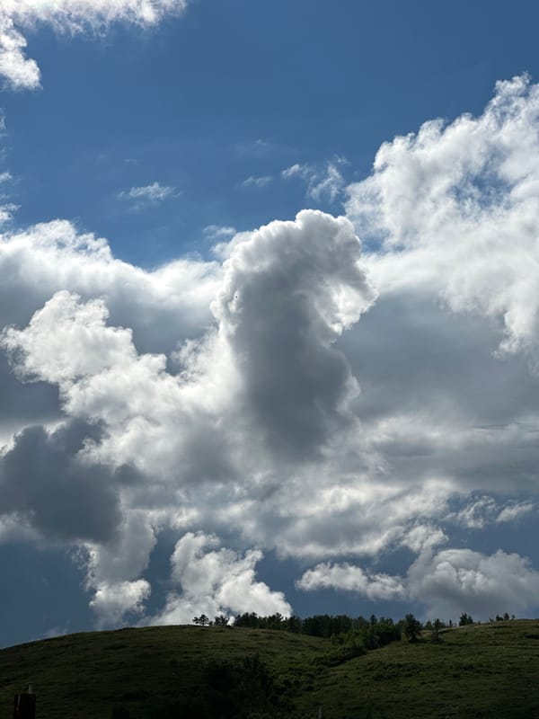 Witness captures quiet rural moments under changing skies
