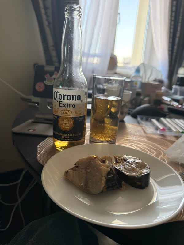 Saint Petersburg resident documents Corona beer meal, hangover references