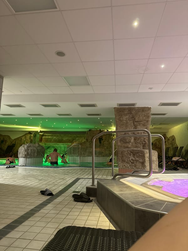 Indoor spa pool with rock features observed in Gunzenhausen