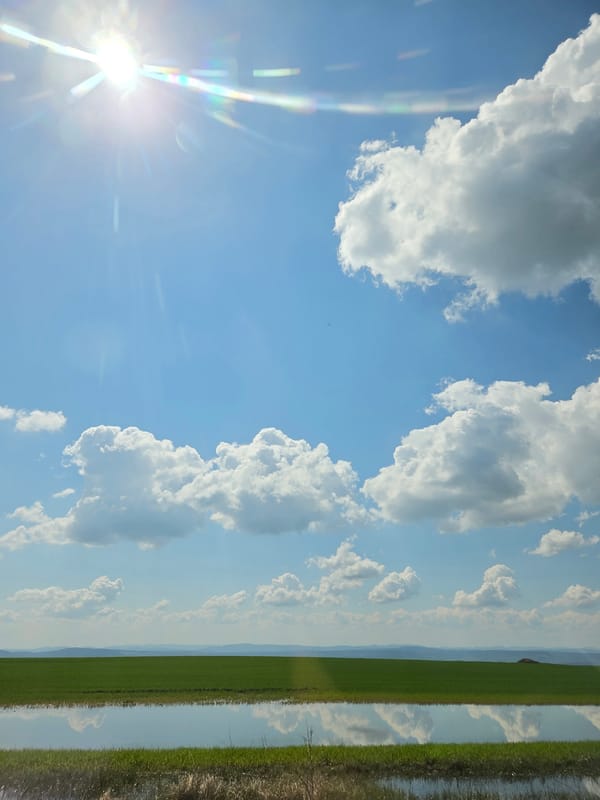 Clear sunny skies observed in Cherkovna, Bulgaria