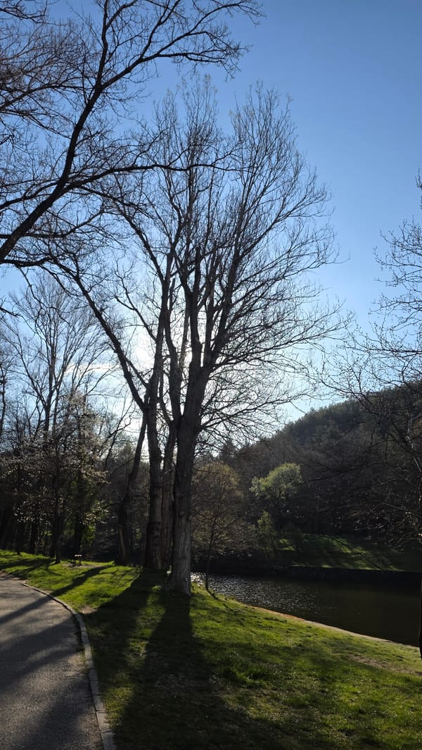 Morning walk documented through Blagoevgrad park with waterfall feature