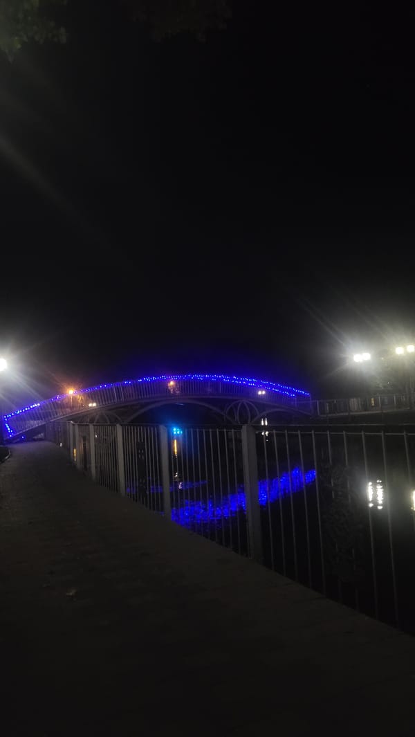 Colorful nighttime lighting at a waterfront park or promenade