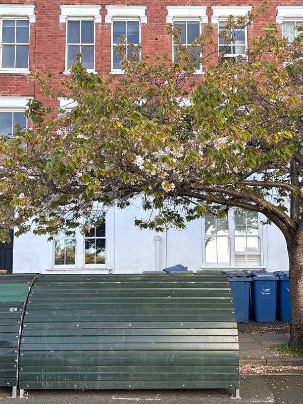 London resident documents neighborhood street scenes on spring afternoon