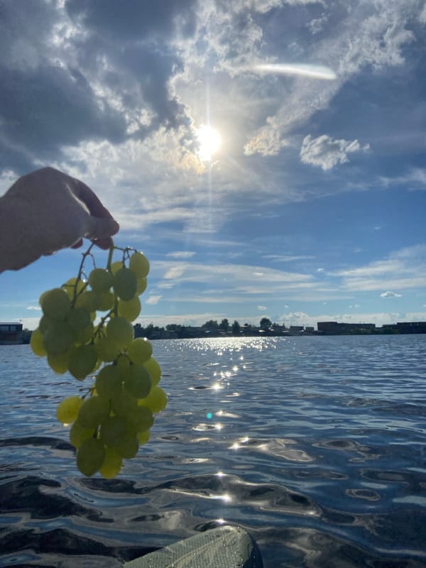 Paddleboarding and snacks on a sunny Chaikovsky afternoon