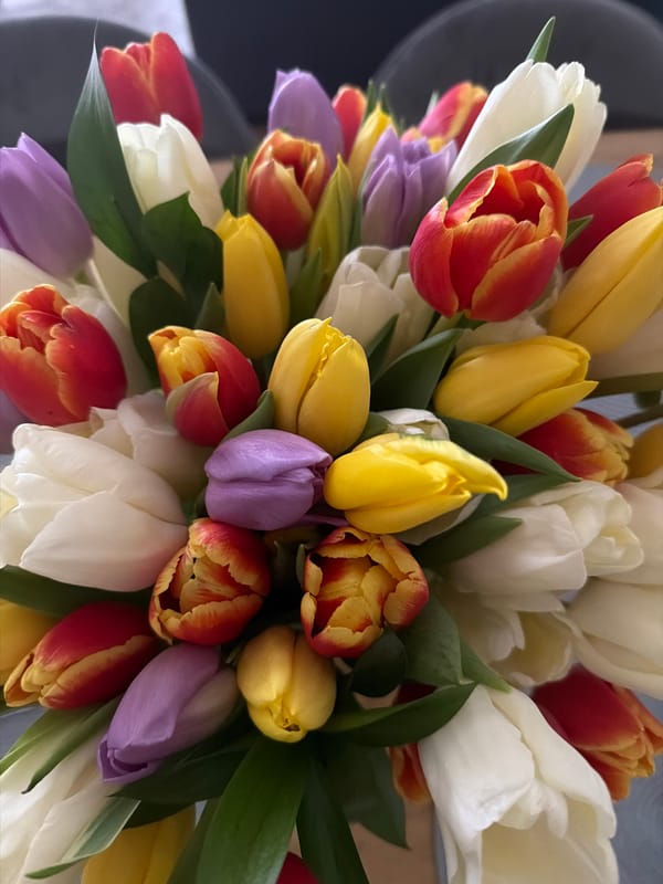 Colorful tulip bouquet photographed indoors in Plovdiv