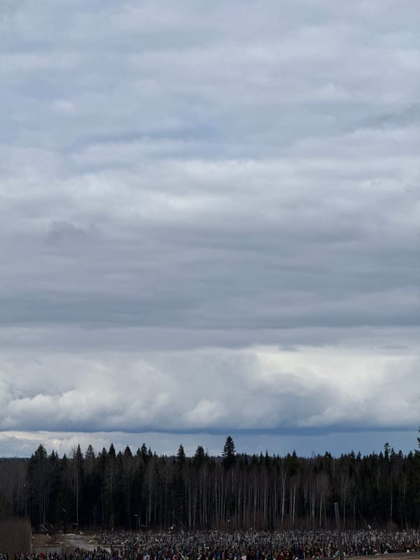 Cemetery with crosses documented along forest edge in Perm