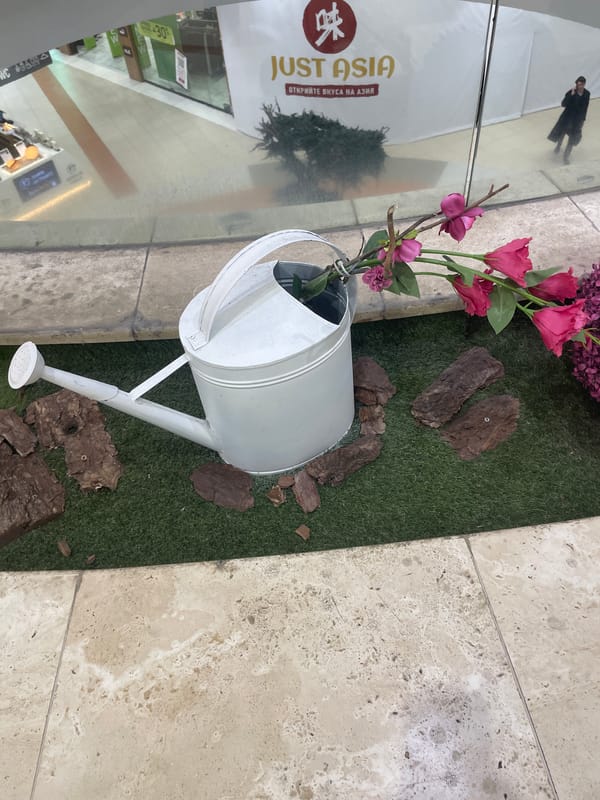 Shopping center interior features documented in Sofia