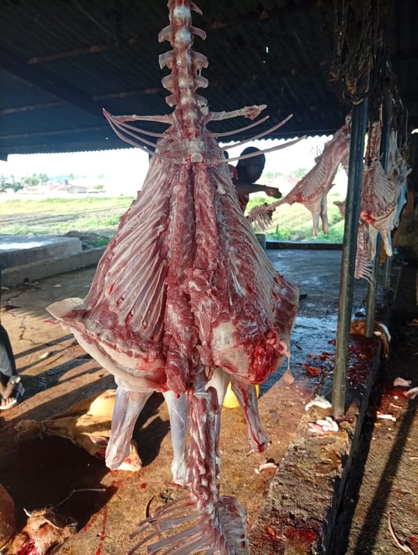 Morning activity at a Jalingo open-air meat market
