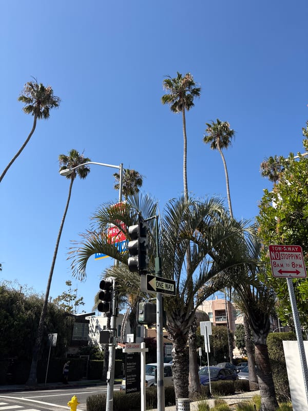 Clear skies and palm trees observed on Santa Monica street