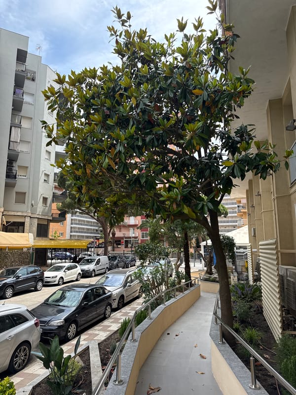 Morning walk documented through residential Blanes, Spain neighborhoods