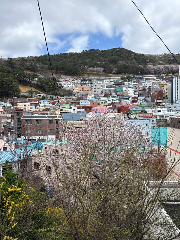 Early morning documentation of Gamcheon Culture Village arts district