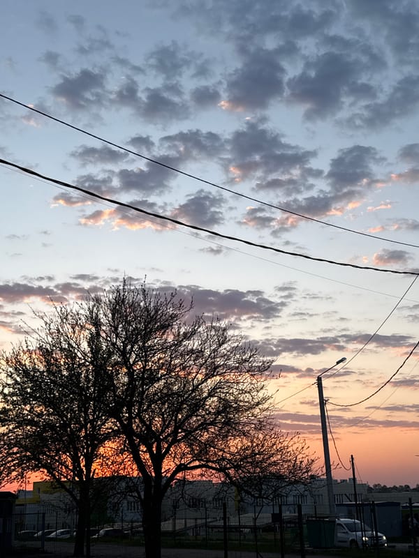 Spring Evening Life Documented in Severnyi, Russia District
