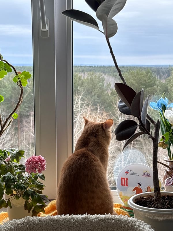 Woman documents early morning routine in Berezniki apartment