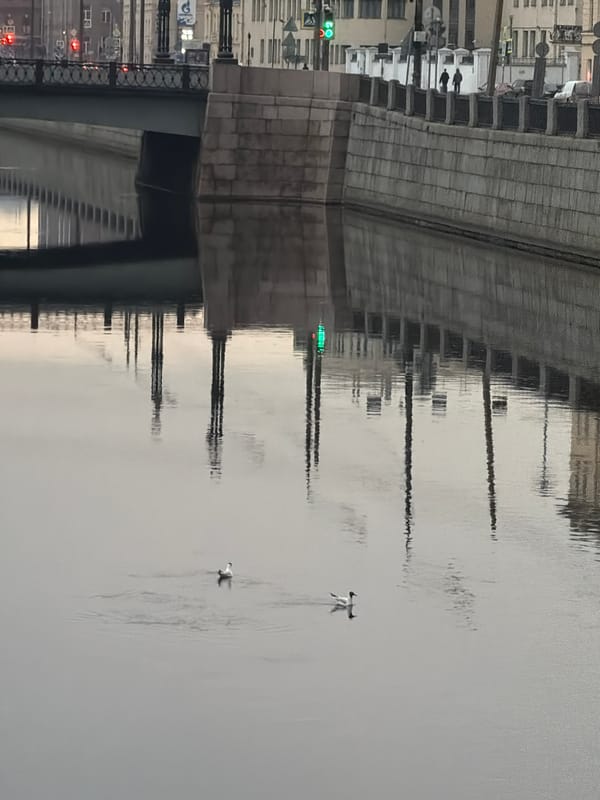 Ordinary moments captured along Neva River and streets in Saint Petersburg